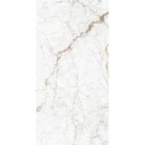 Gres Veneto 119,8 x 59,8 cm white 1,43 m2