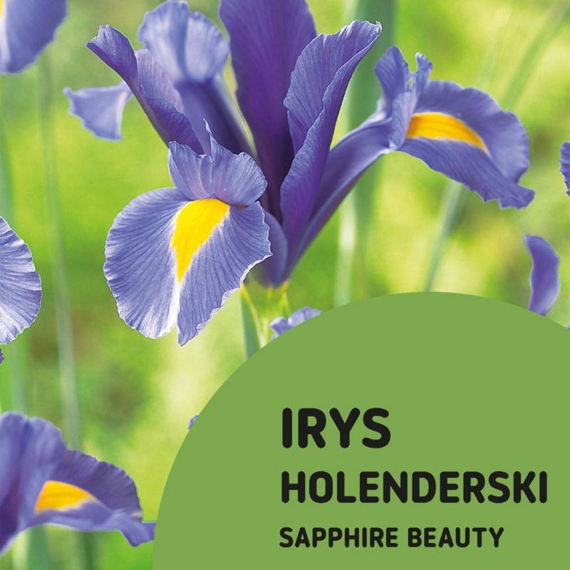 Irys Blue Sapphire 15 szt.