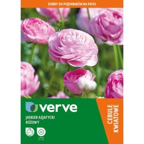 Jaskierj azjatycki różowy