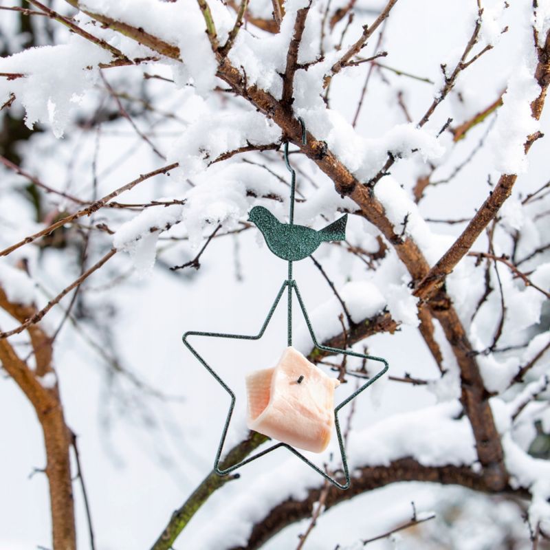 Karmnik Wiszący KADAX Karmidło Na Pokarm Dla Ptaków 30cm 1 szt.