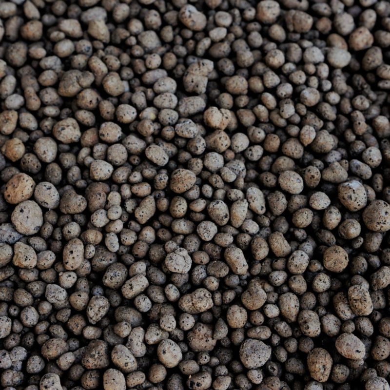 Keramzyt ogrodniczy Blooma 8 - 20 mm 5 l