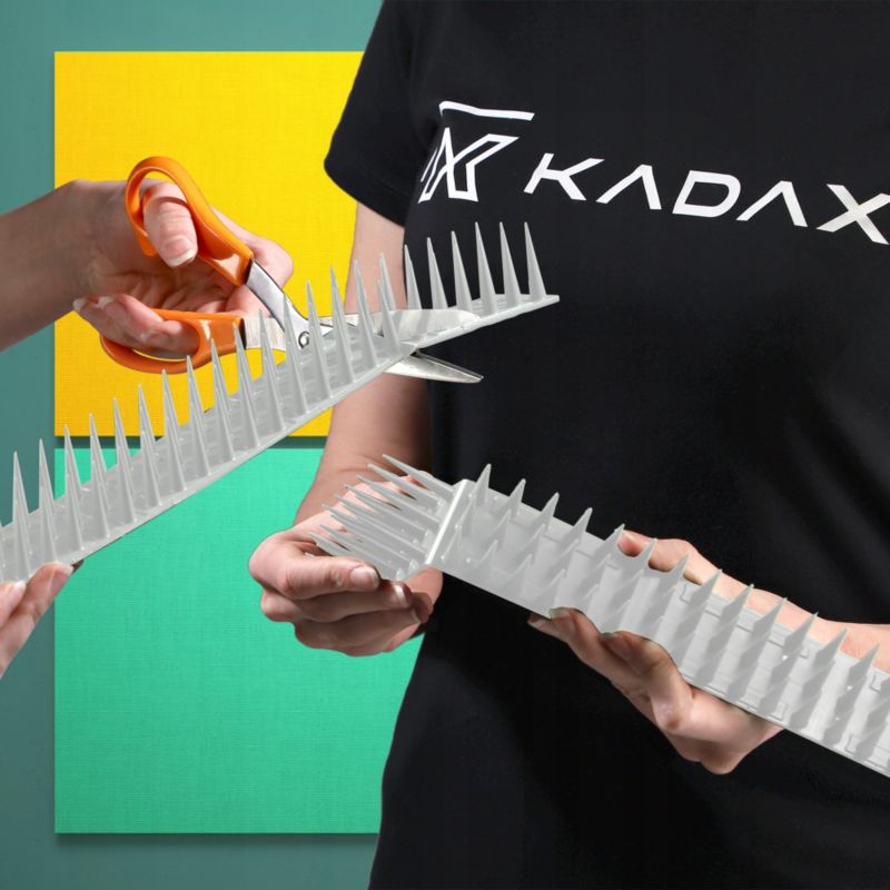 Kolce Na Ptaki KADAX Gołębie Plastikowe 48szt 25m 8szt.