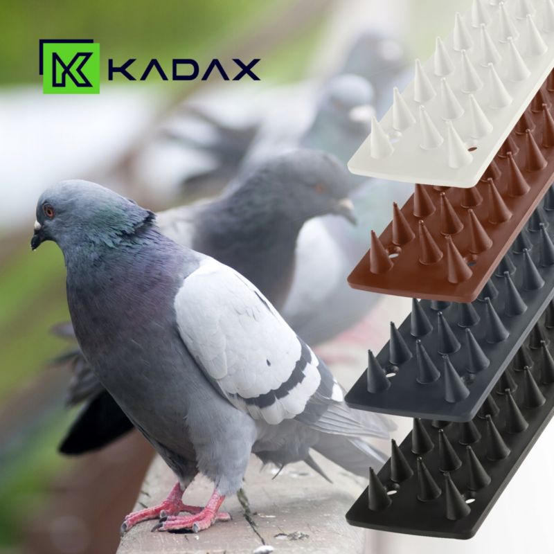 Kolce Na Ptaki KADAX Przeciw Ptakom Nierdzewne Plastikowe Wysokie 50cm Bezpieczne 1szt.