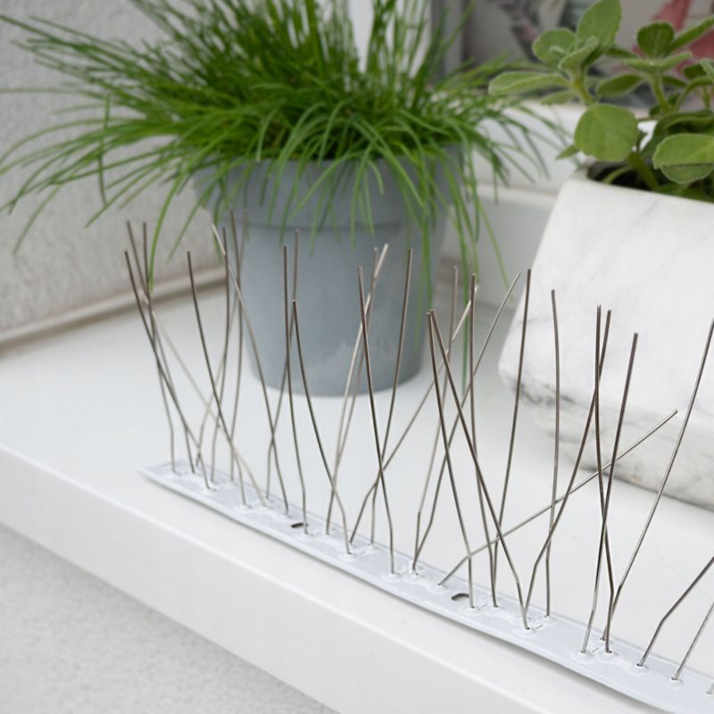 Kolce na ptaki, Sillar, odstraszacz, 25cm, 30 kolców, stal nierdzewna, 1 szt.
