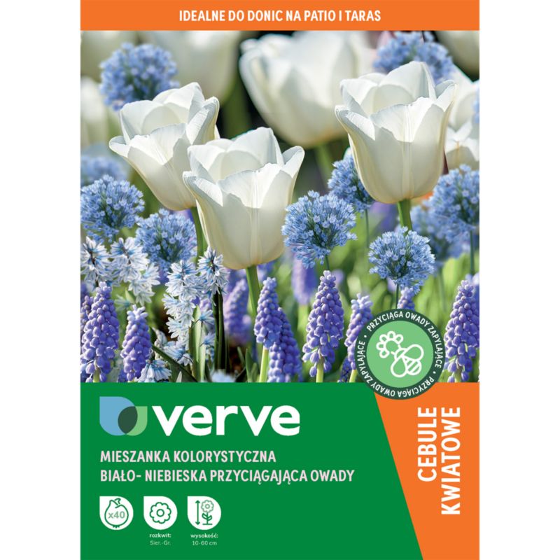 Kolekcja Verve Blue Pollinator 40 sztuk