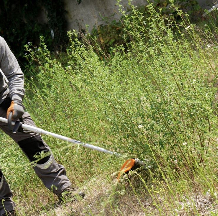 Kosa akumulatorowa WORX WG186E.92 20V 1 szt.