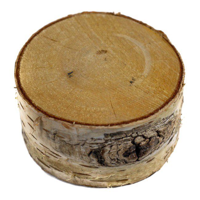 Krążek drewniany Floorpol śr. 40-200 mm gr. 35 mm brzozowy