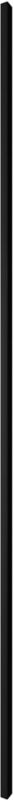 Lamel ścienny pojedynczy Stegu 275 x 2,8 cm czarny