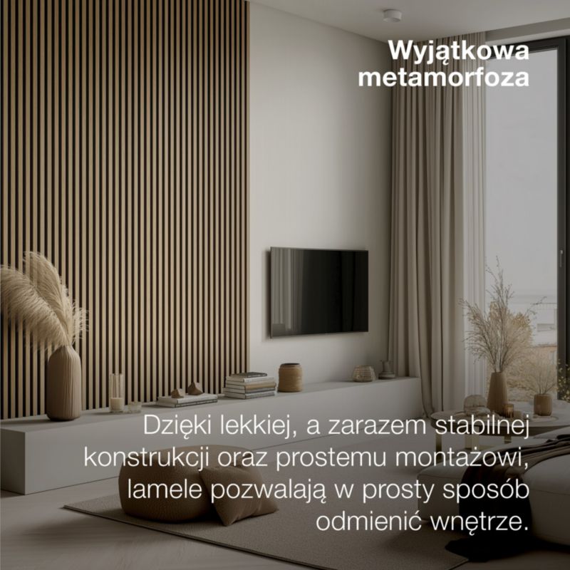Lamele ścienne na czarnym filcu Stegu Linea Acoustic Proline, czarne 240x60 cm panele akustyczne 1 szt.