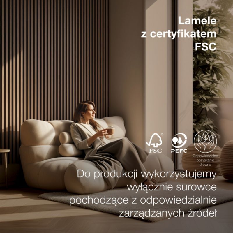 Lamele ścienne na czarnym filcu Stegu Linea Acoustic Proline, czarne 240x60 cm panele akustyczne 1 szt.