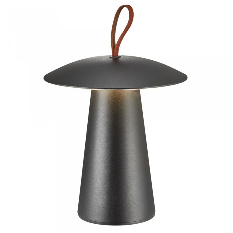 Lampa bezprzewodowa zewnętrzna przenośna LED 2W ARA TO-GO 2318245003 Nordlux 1 szt.