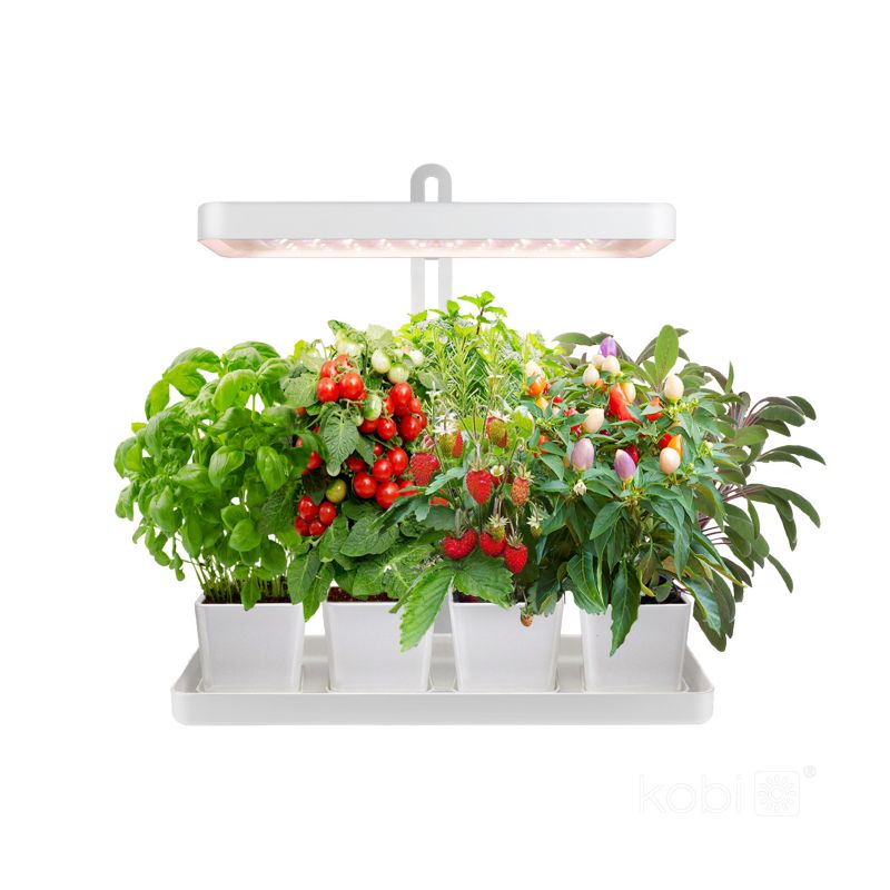 Lampa do roślin LED Bloom Kobi 20W 3500K 1szt.
