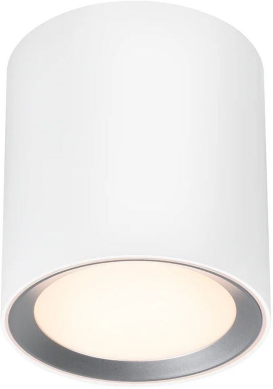 Lampa podsufitowa LED Nordlux Landon IP44 8W biała, ściemnialna, Nordlux Smart, 1 szt.