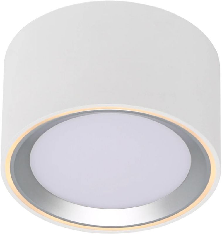 Lampa podsufitowa Nordlux Fallon LED 5,5W, biały/stal, ściemniacz, IP20, 1 szt.