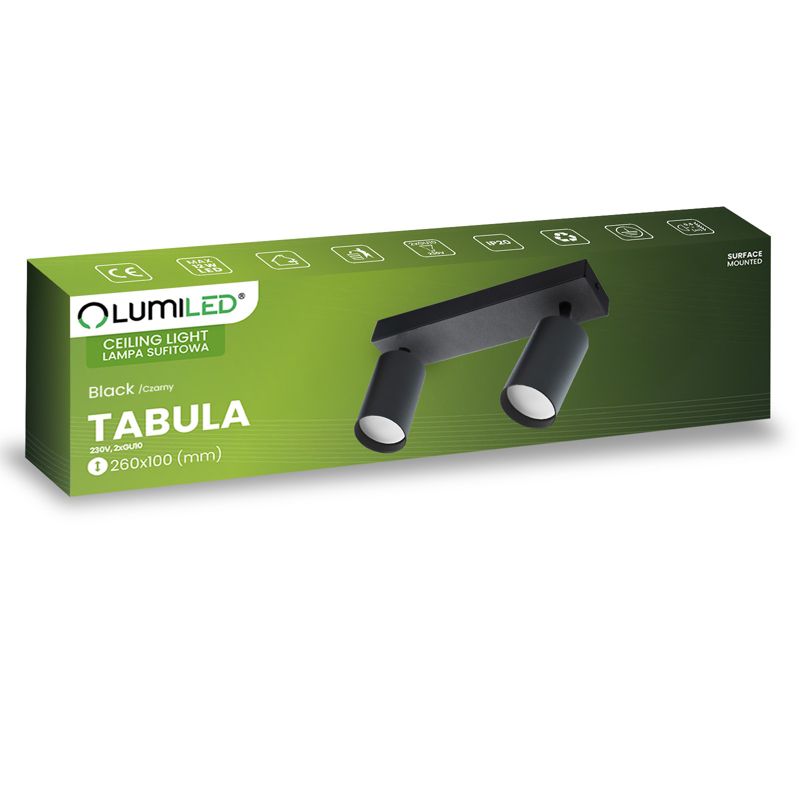Lampa Sufitowa Lumiled Plafon Spot Tuba Reflektor Oprawa Halogenowa Skośna 2x GU10 1 szt.