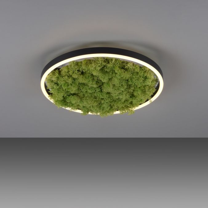 Lampa sufitowa wisząca Leuchten Direkt Green Ritus 4792 zielono-czarna nowoczesna wbudowany LED 20W 1 szt.