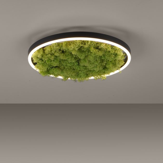 Lampa sufitowa wisząca Leuchten Direkt Green Ritus 4792 zielono-czarna nowoczesna wbudowany LED 20W 1 szt.