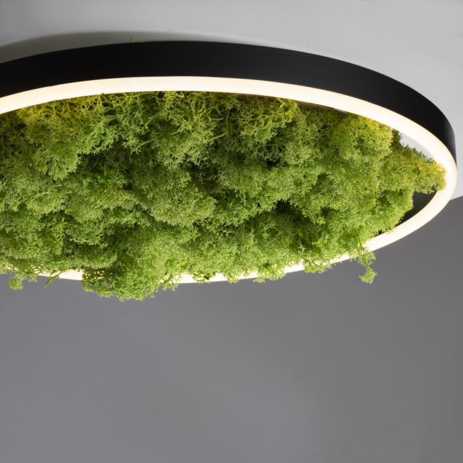 Lampa sufitowa wisząca Leuchten Direkt Green Ritus 4792 zielono-czarna nowoczesna wbudowany LED 20W 1 szt.