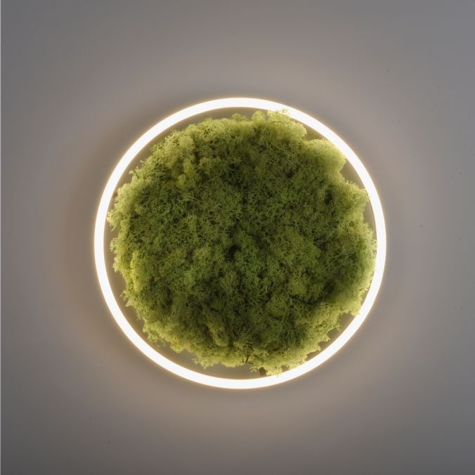 Lampa sufitowa wisząca Leuchten Direkt Green Ritus 4792 zielono-czarna nowoczesna wbudowany LED 20W 1 szt.
