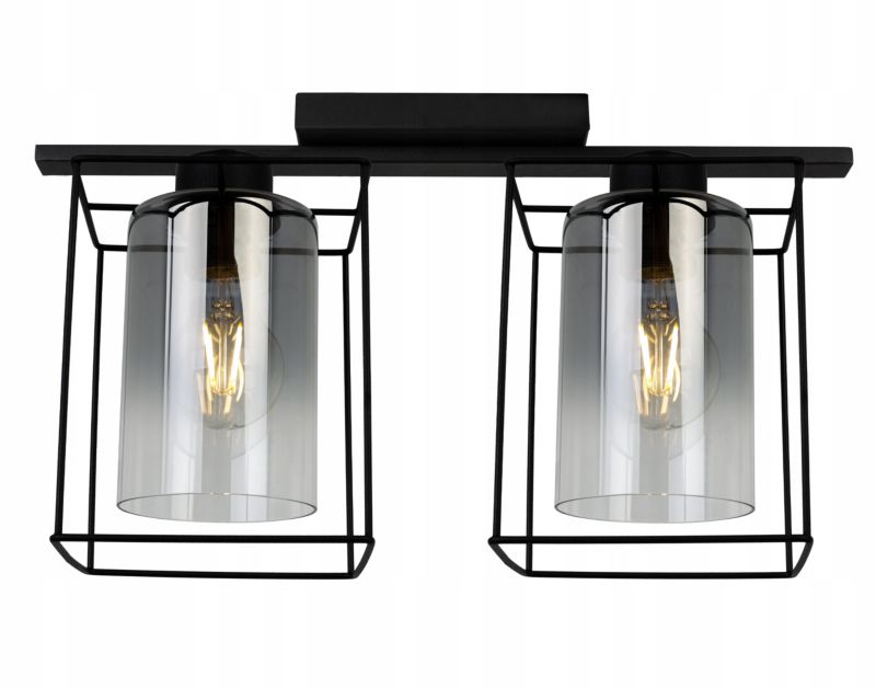 Lampa sufitowa wisząca Light Home LH Hella Cage 2x E27 60W szkło grafit 1szt.