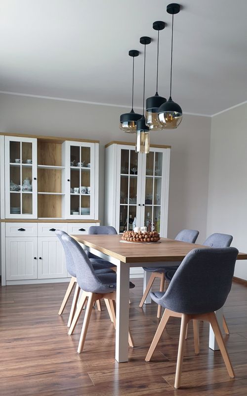 Lampa sufitowa wisząca Light Home LH Oslo 1x E27 60W tuba bezbarwny 1szt.