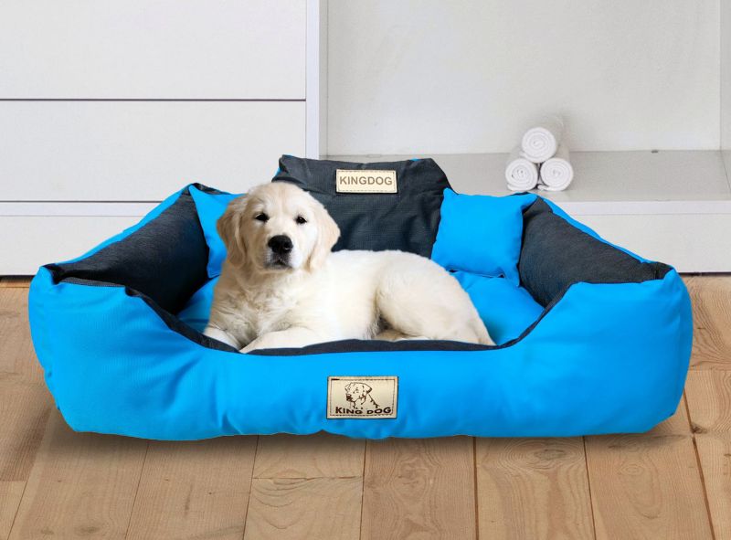 Legowisko dla psa kojec KINGDOG 145x115 cm personalizowane niebieskie 1szt