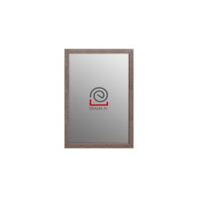 Lustro prostokątne z serii HIT Erama 40 x 60 cm w ramie sonoma truflowa 1szt.