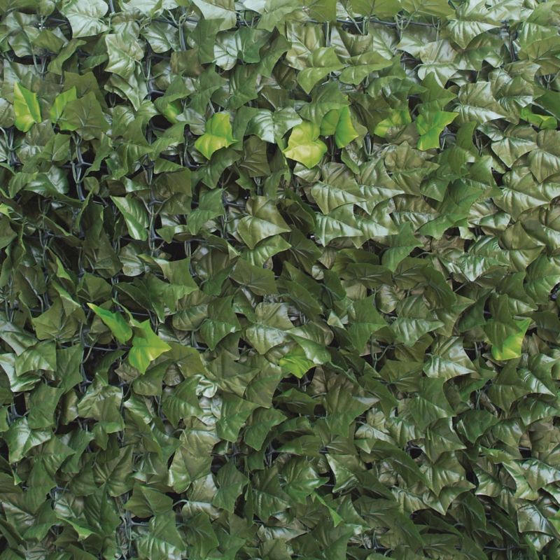 Mata balkonowa liście Edera 100 x 300 cm