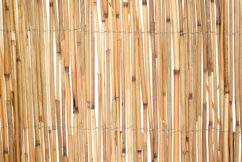 Mata trzcinowa 180 x 600 cm
