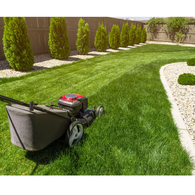 Mieszanka traw Barenbrug RPR Lawn samozagęszczająca otoczkowana 5 kg