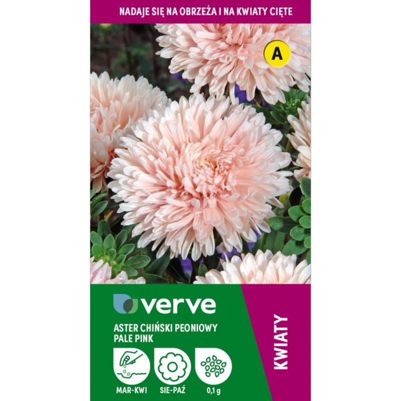 Nasiona aster Pale Pink Verve