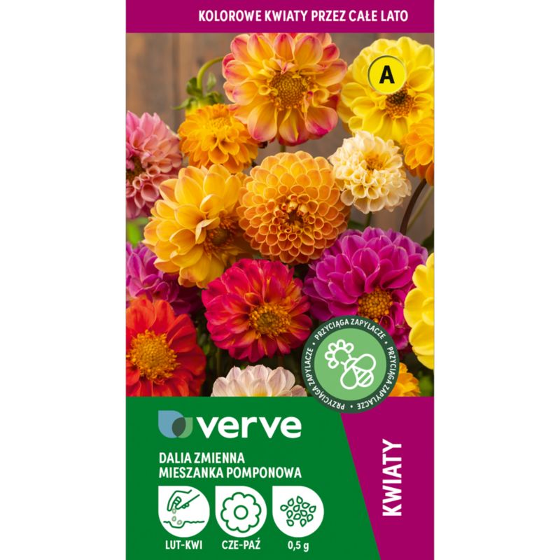 Nasiona dalia Verve mix