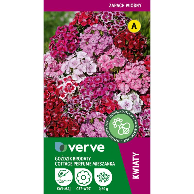 Nasiona goździk brodaty Cottage Perfume Verve