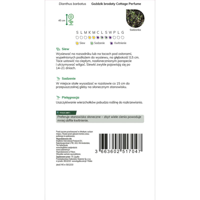 Nasiona goździk brodaty Cottage Perfume Verve