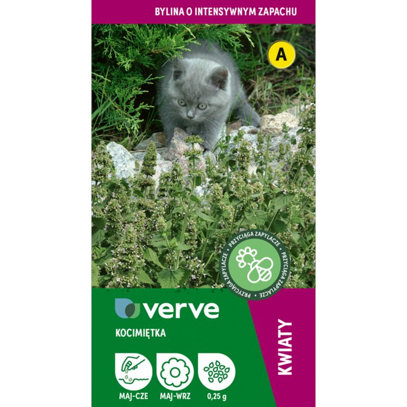 Nasiona kocimiętka Verve