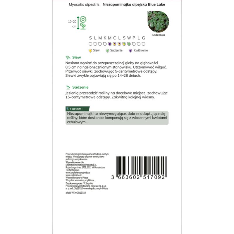 Nasiona niezapominajka Verve