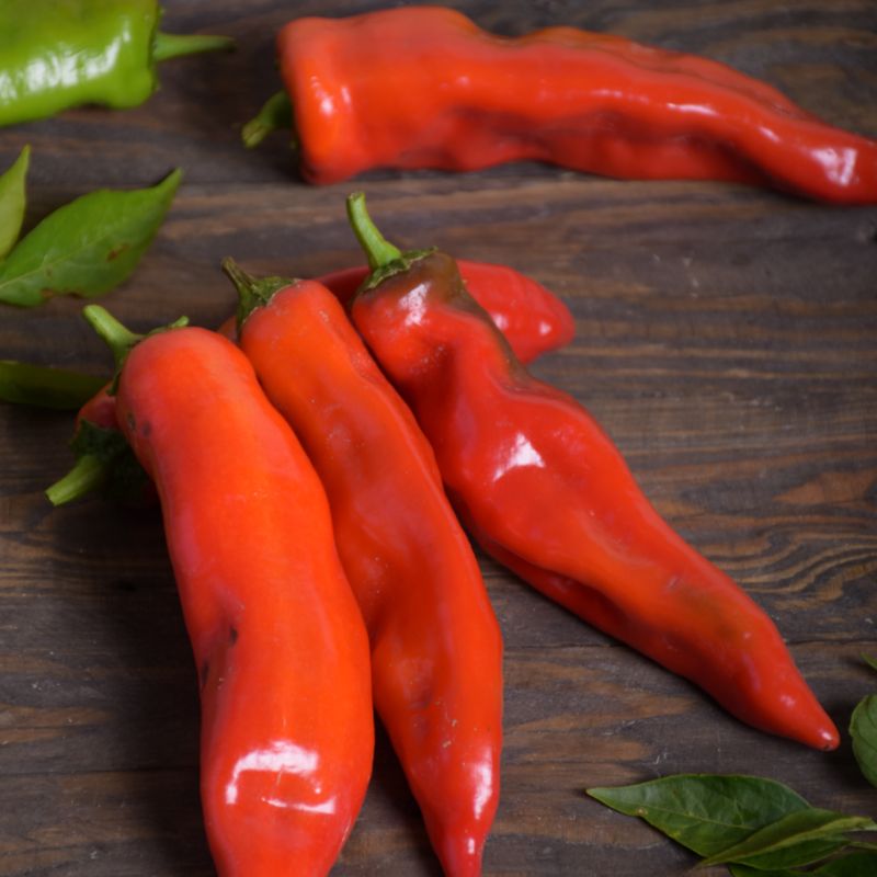 Nasiona papryka Anaheim Chili Verve