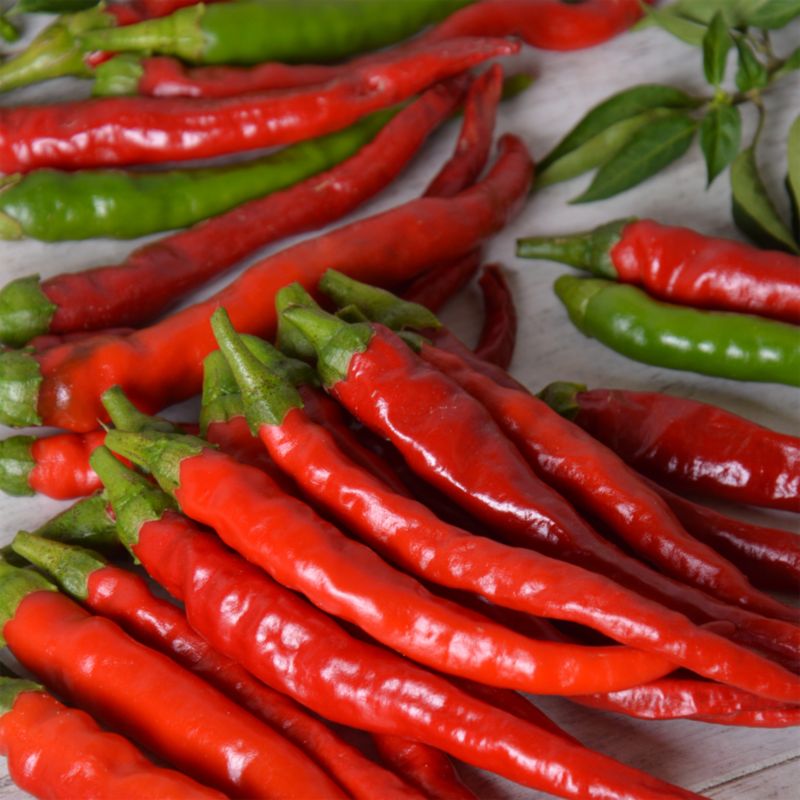Nasiona papryka de Cayenne Verve