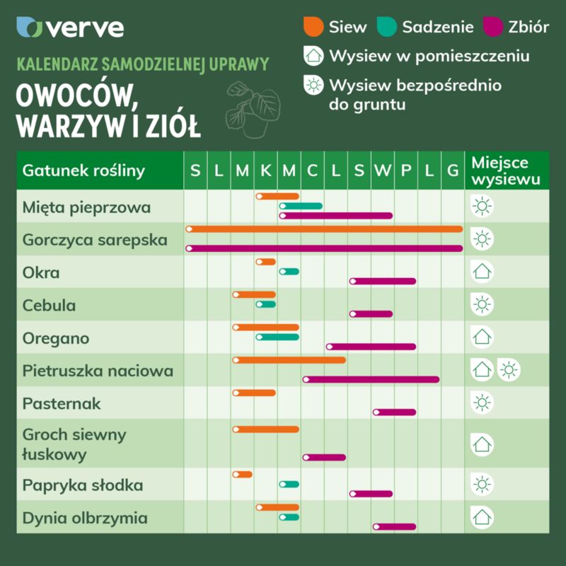 Nasiona papryka słodka żółta Corno Giallo Verve