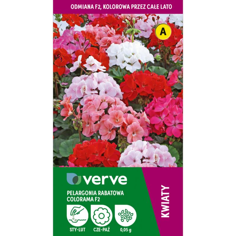 Nasiona pelargonia Colorama F2 Verve