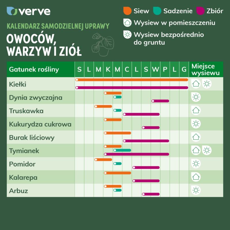 Nasiona pomidor Verve kolekcja