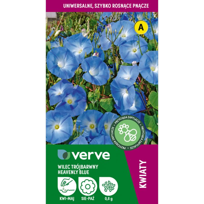 Nasiona powój Heavenly blue Verve