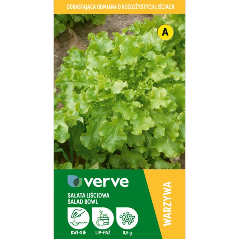 Nasiona sałata liściowa Salad Bowl Verve