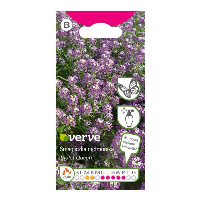 Nasiona smagliczka Violet Queen Verve fioletowa