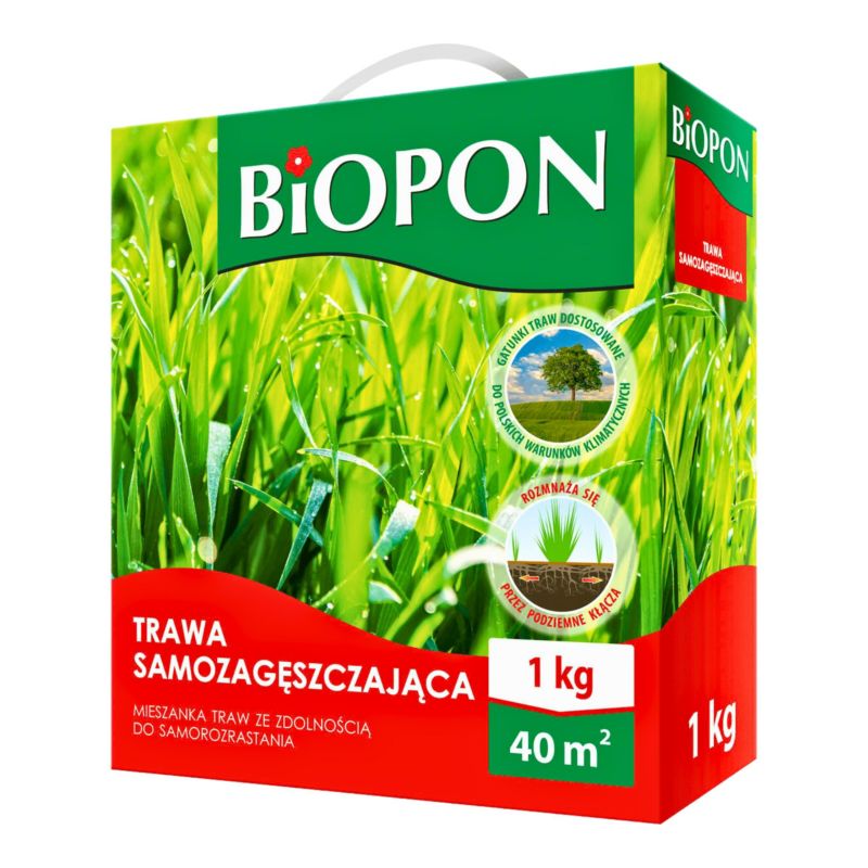 Nasiona Trawy Samozagęszczającej Biopon 1 Kg 1 Szt.