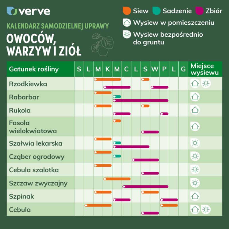 Nasiona wieczornik Verve mix