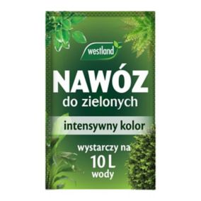 Nawóz do roślin zielonych 10 g