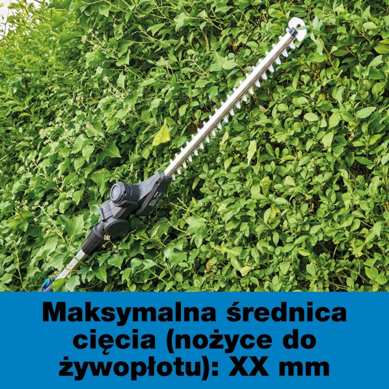 Nożyce akumulatorowe do żywopłotu Mac Allister z podkrzesywarką