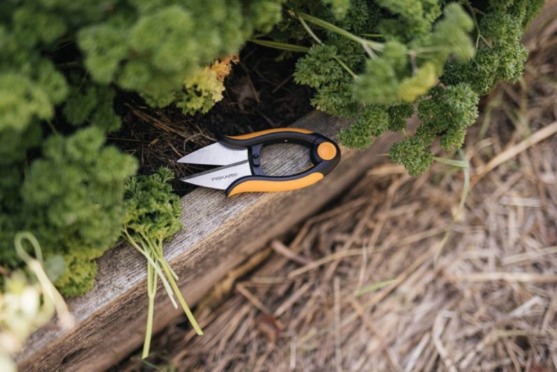 Nożyczki do ziół Fiskars SP220 Solid Fisk