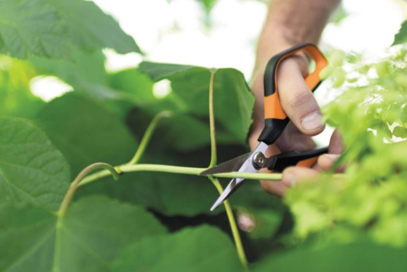 Nożyczki Fiskars Solid SP150